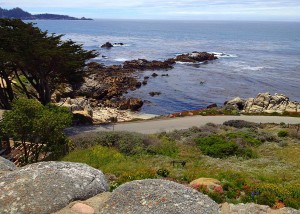 Tor House: The Handcrafted Stone Cottage of Poet Robinson Jeffers | The ...